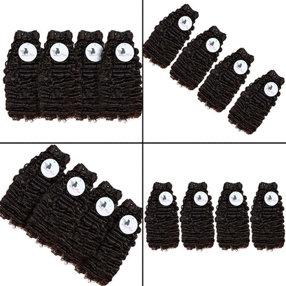 Black Beauty Hair Burmess curly Remy Hair Human Hair Bundles SDD BUNDELS 4 Bundles