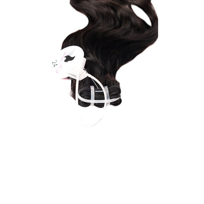 Black Beauty Hair Vietnam raw hair SDD  bouncy black and brown color bundle